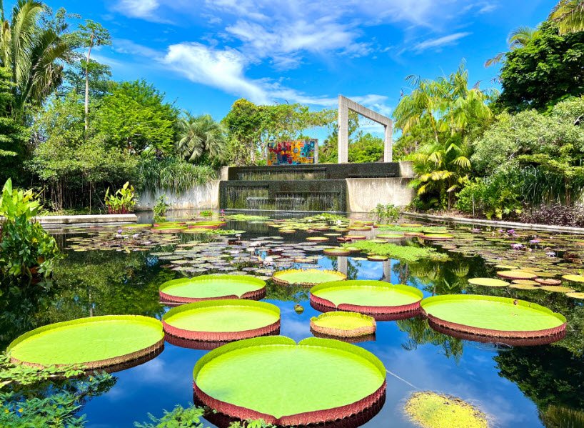 Naples Botanical Garden, United States